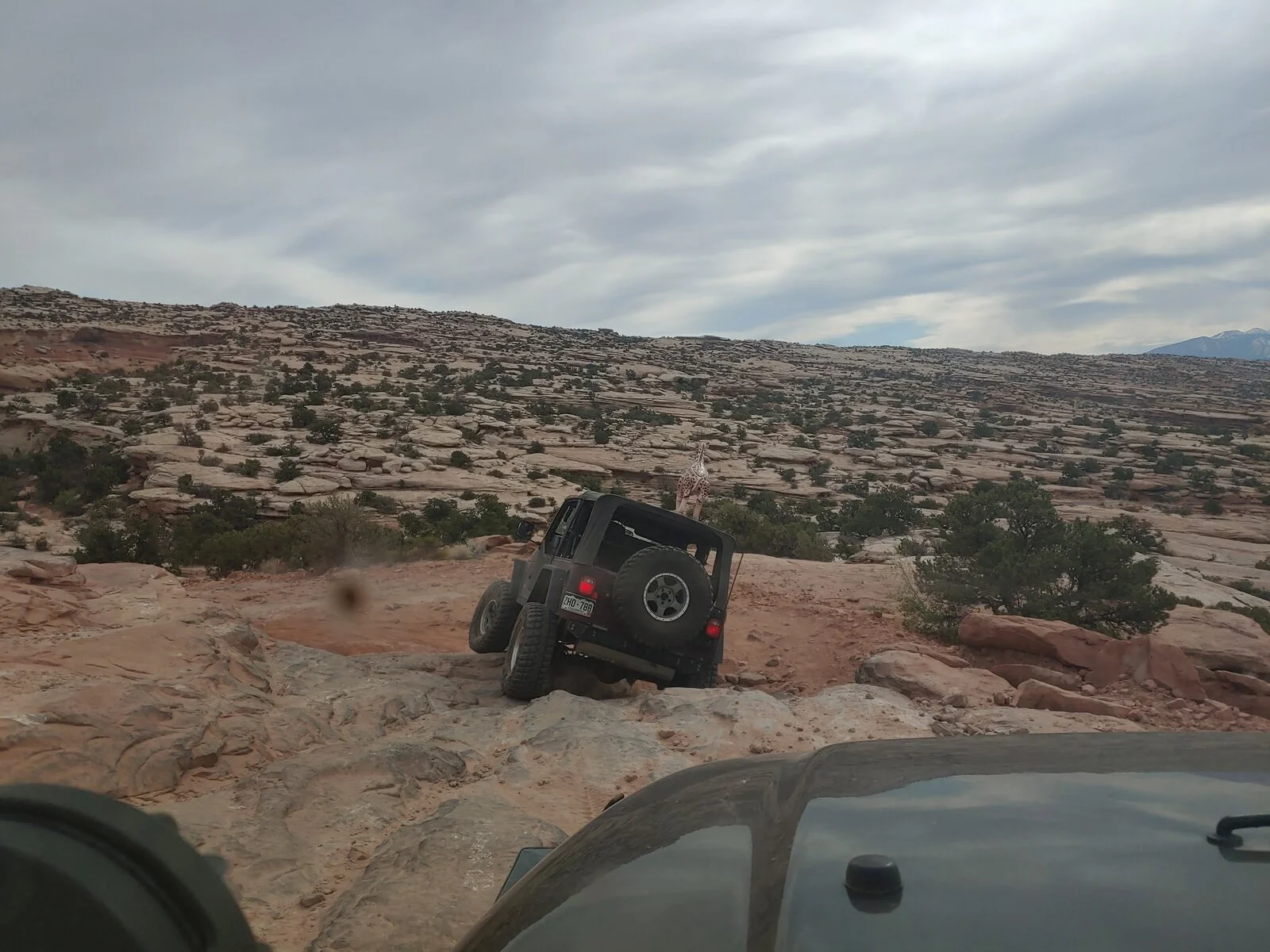 20210425_092752_HDR.webp