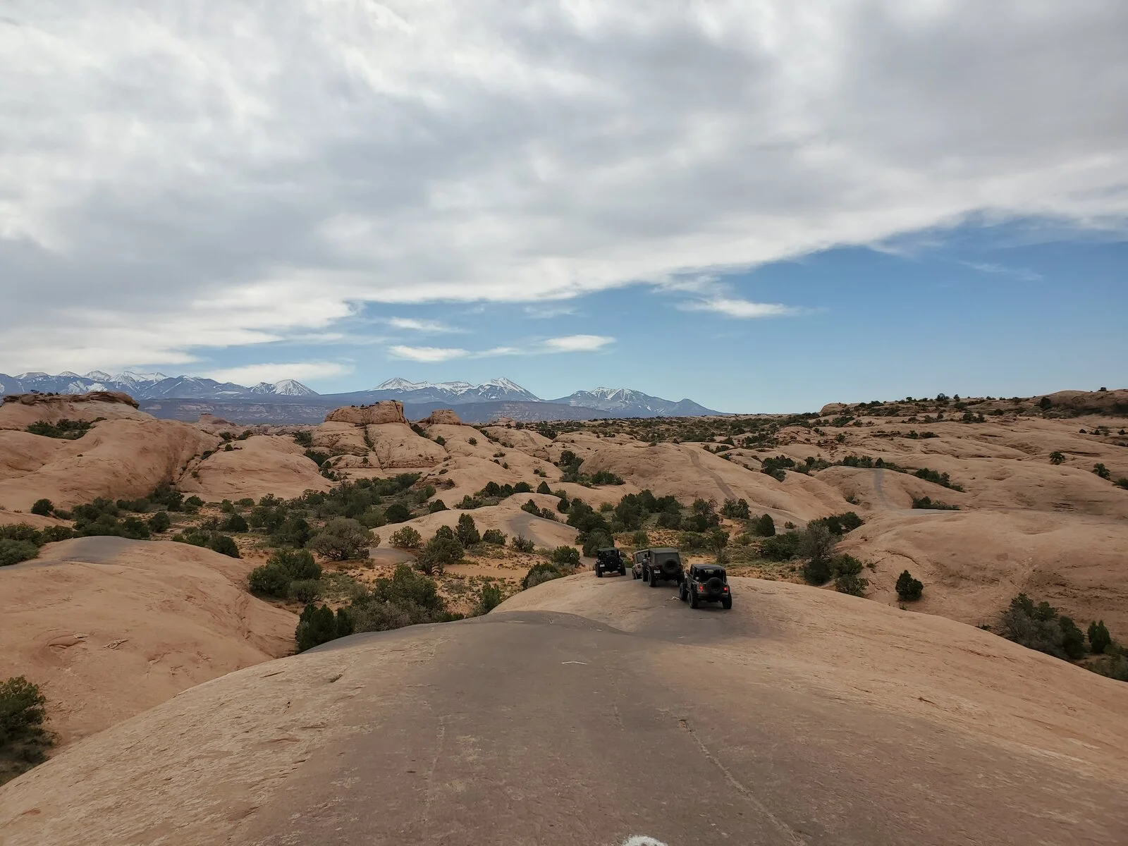 20210425_103426.webp