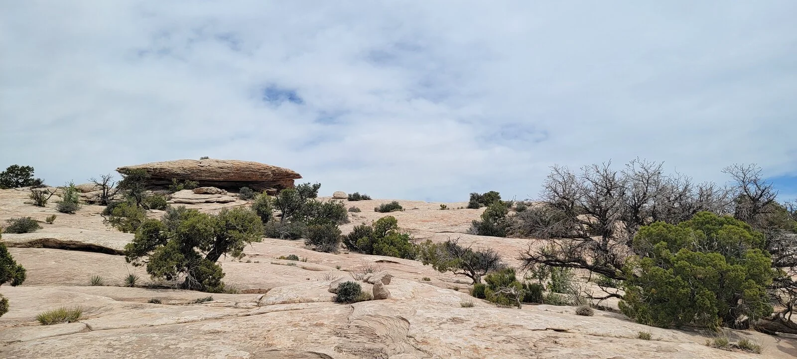 20210425_125241.webp