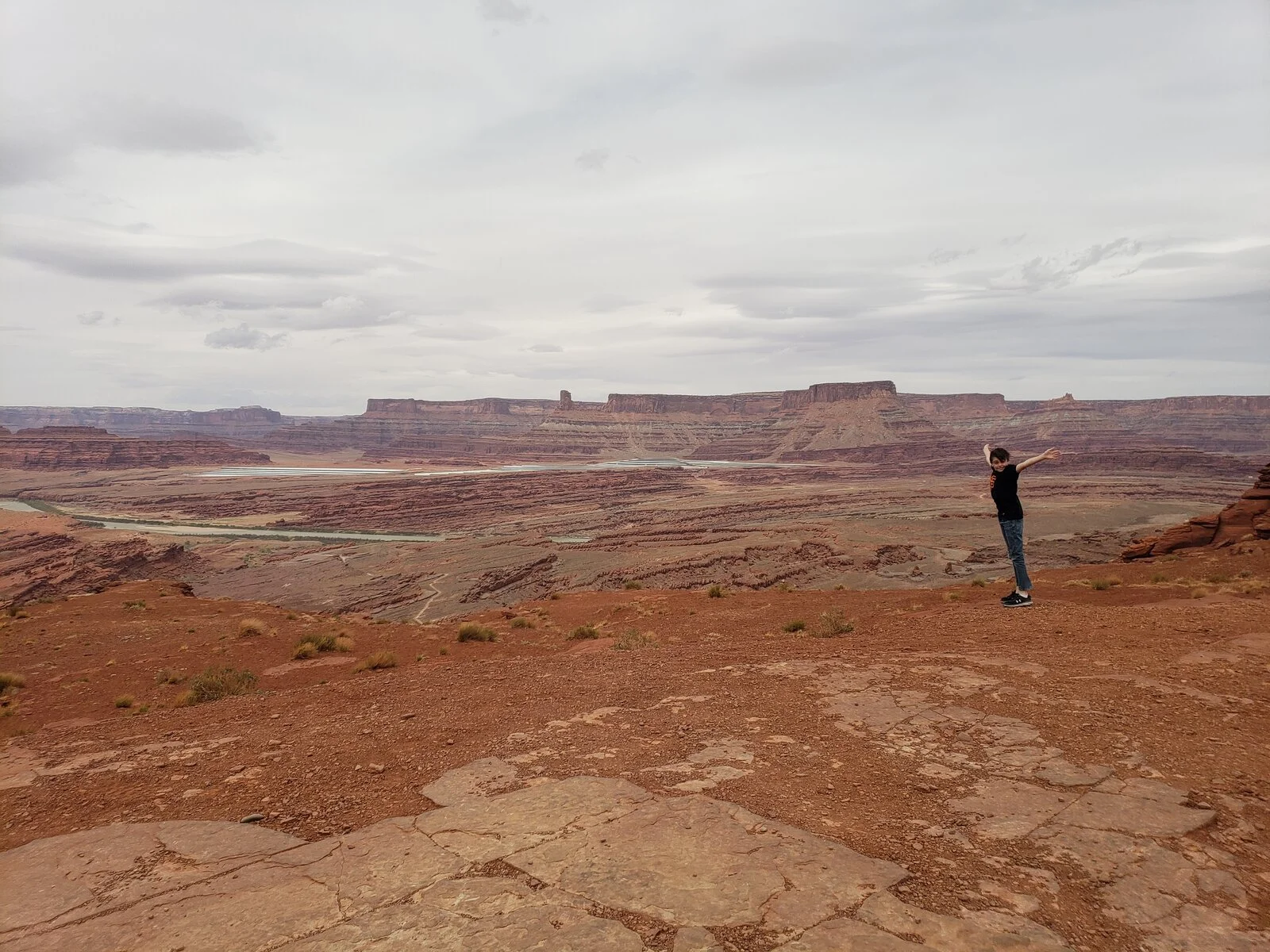 20210426_115331.webp