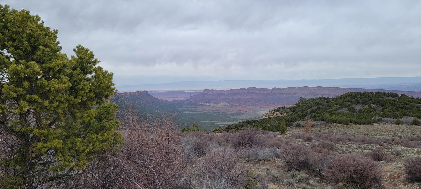 20210426_162626.webp