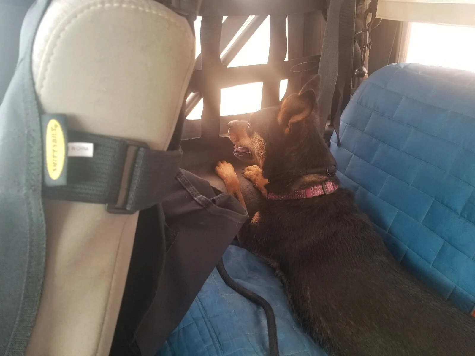 20210601_103824.webp