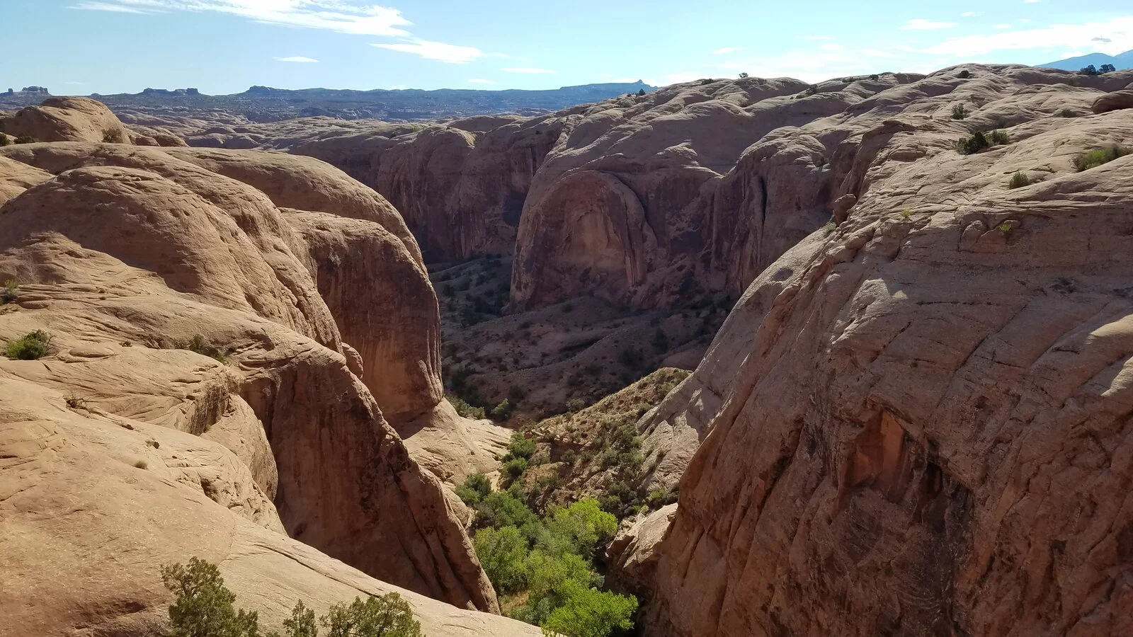 20210626_085331.jpg