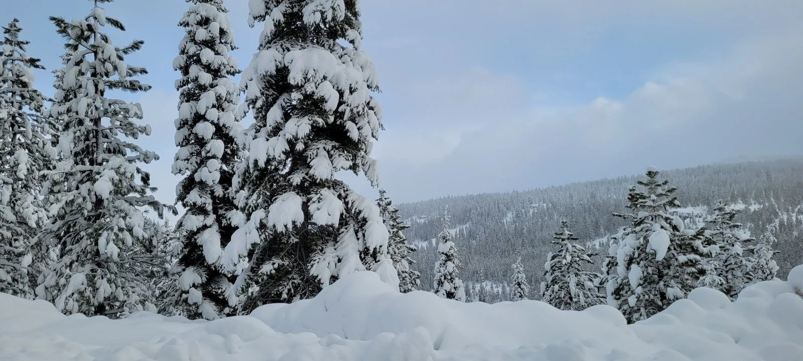 20211224_092504.webp