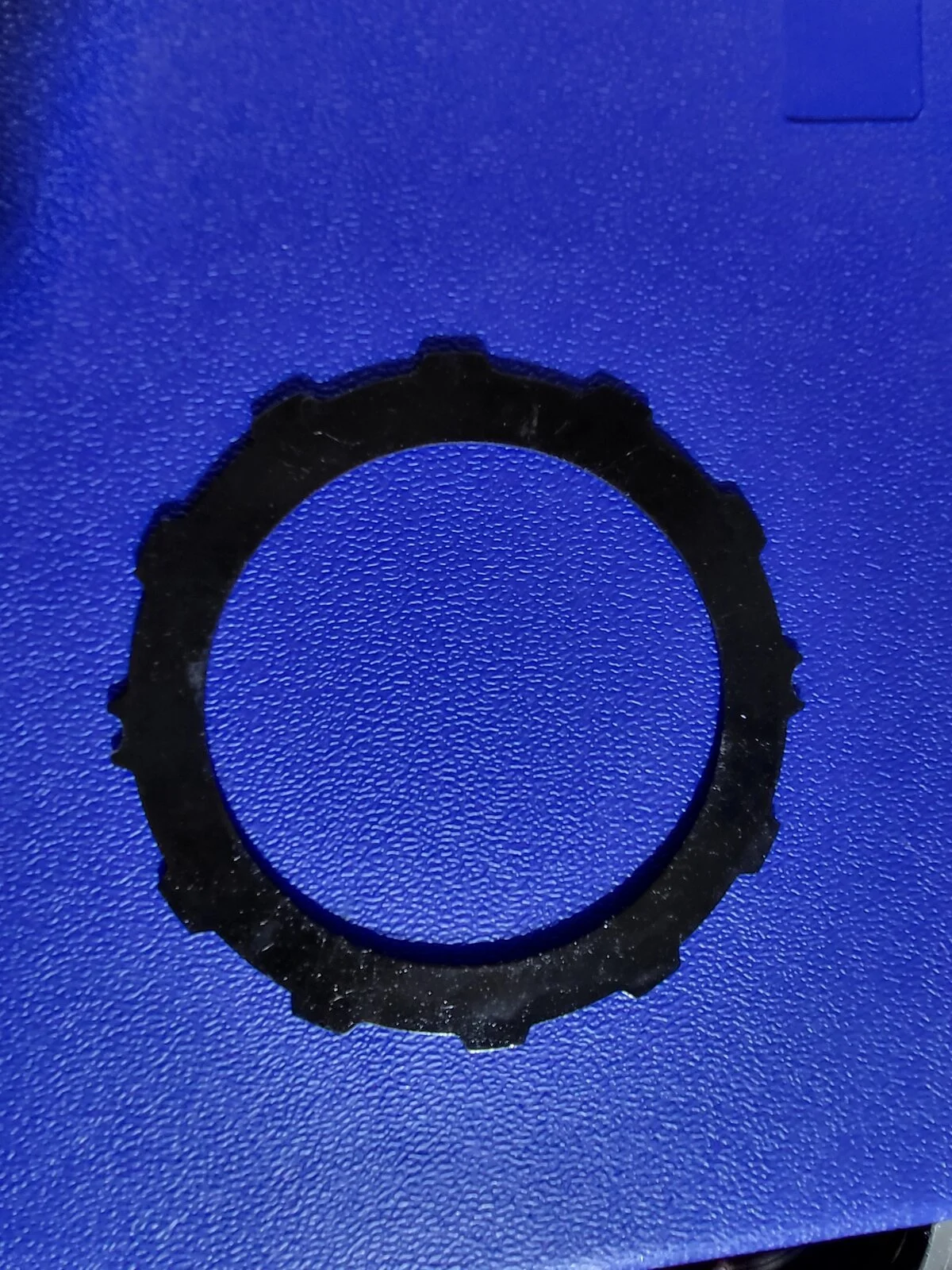20220319_115023.jpg
