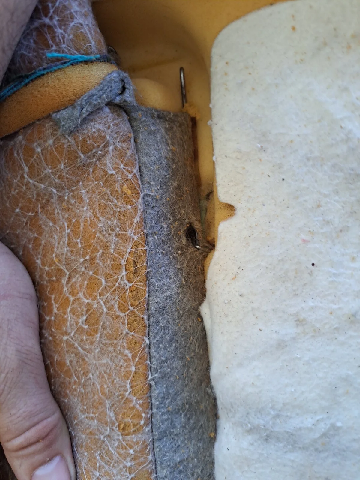 20220818_150216.jpg