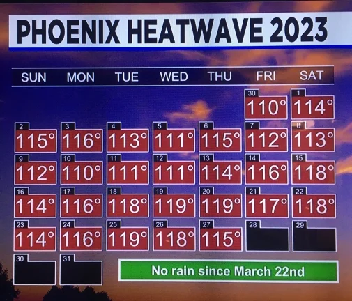 2023 days 110 and above 29 small.webp