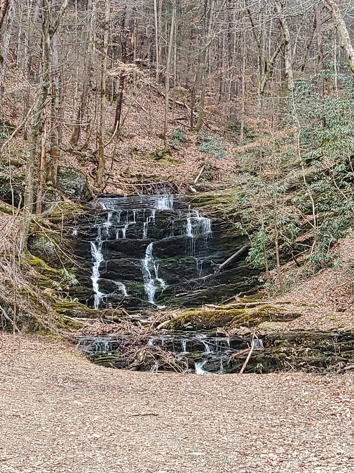 20230211_132535.webp