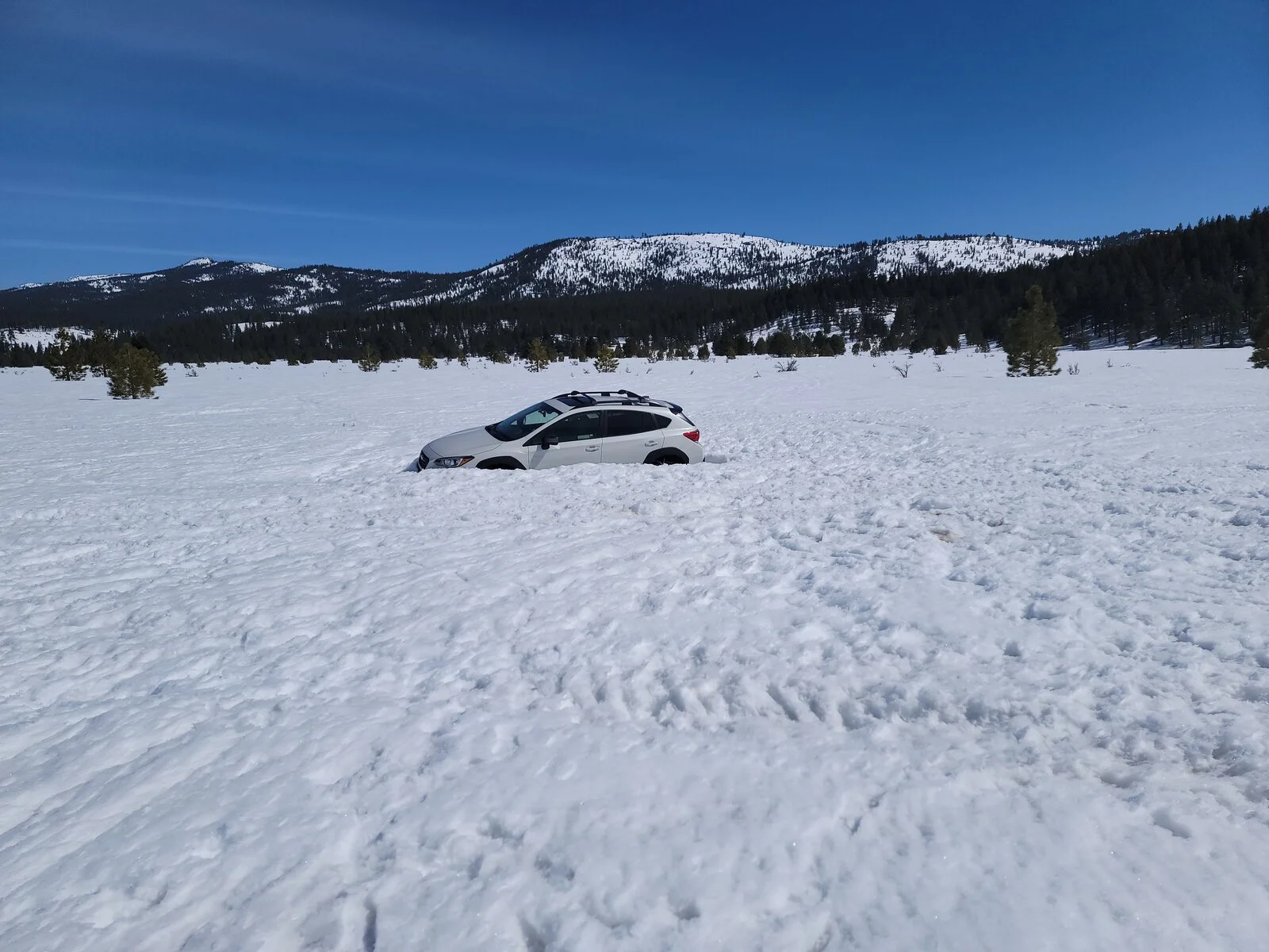 20230318_113341.jpg