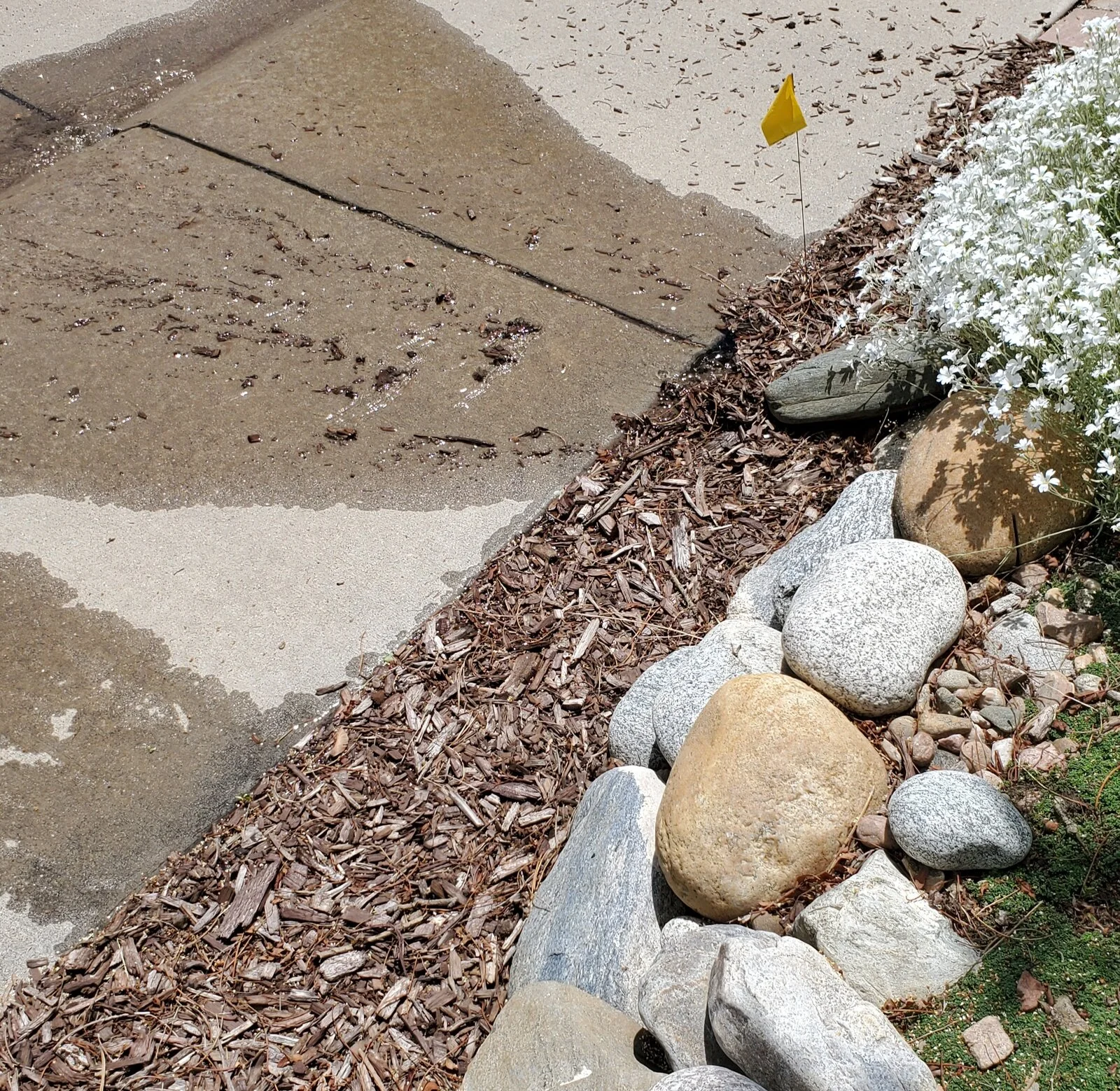 20230528_121121[1].webp
