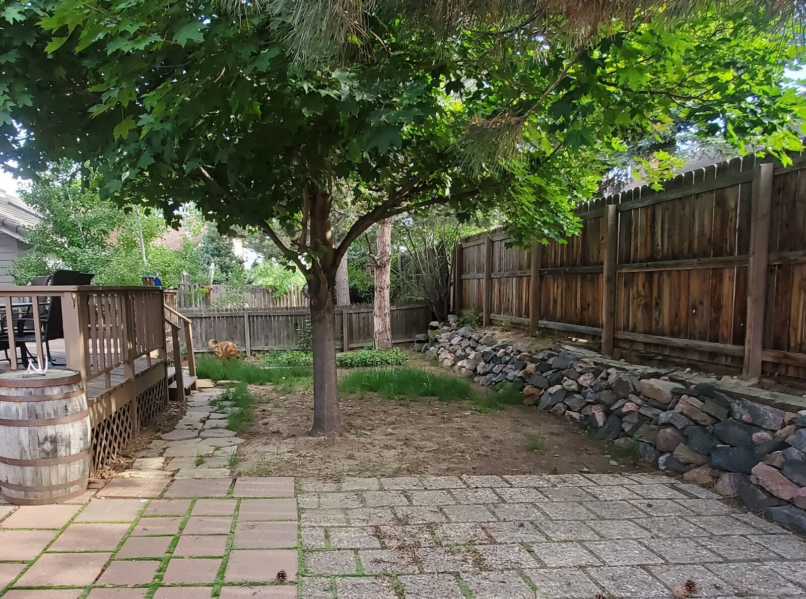 20230531_175046[1].webp