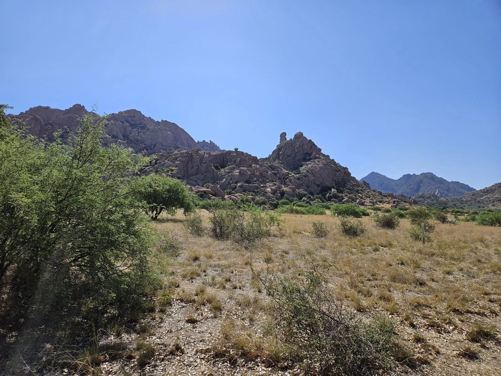 20230629_090338.webp