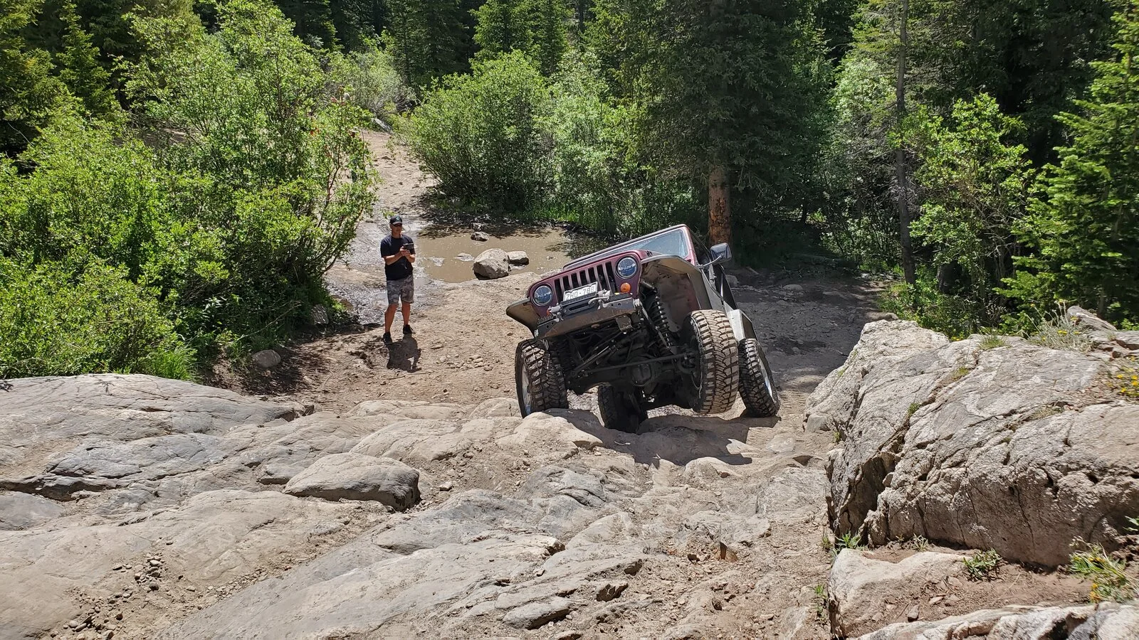 20230709_110458.webp