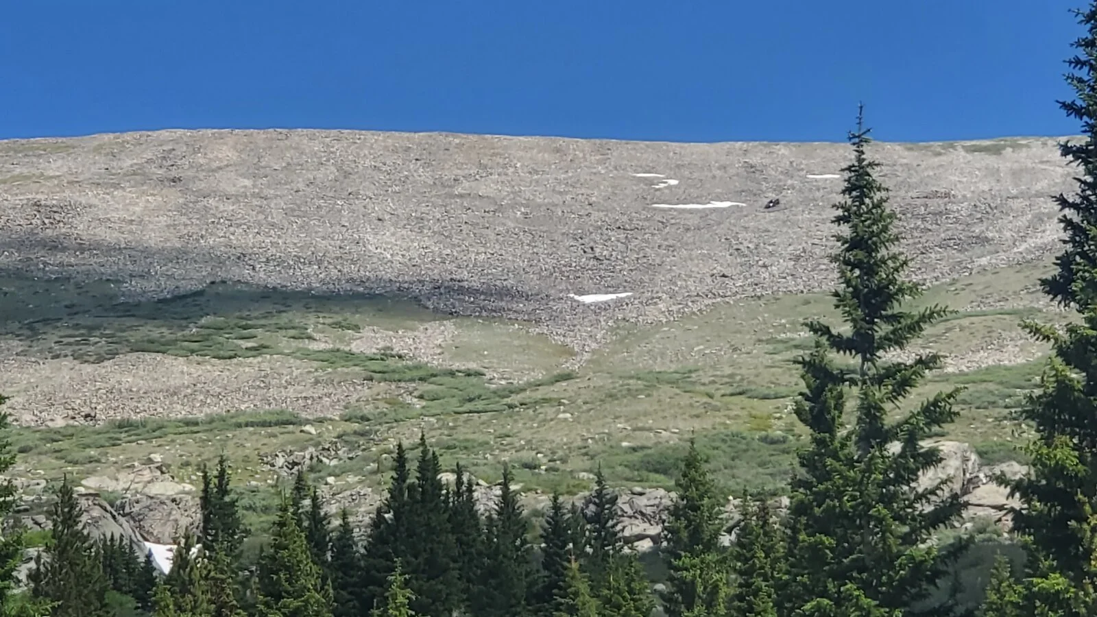 20230709_112314.jpg