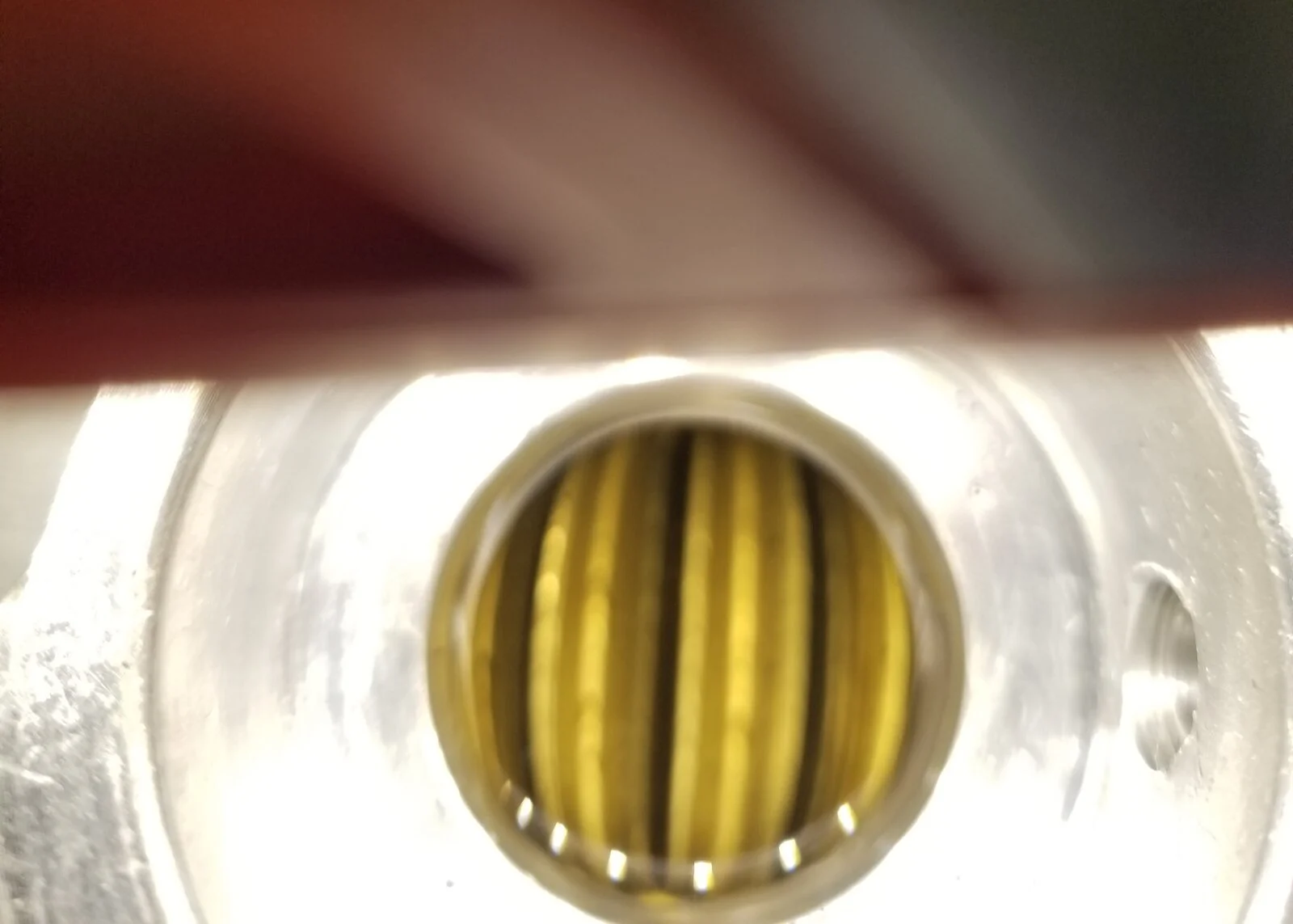 20230720_070541.jpg