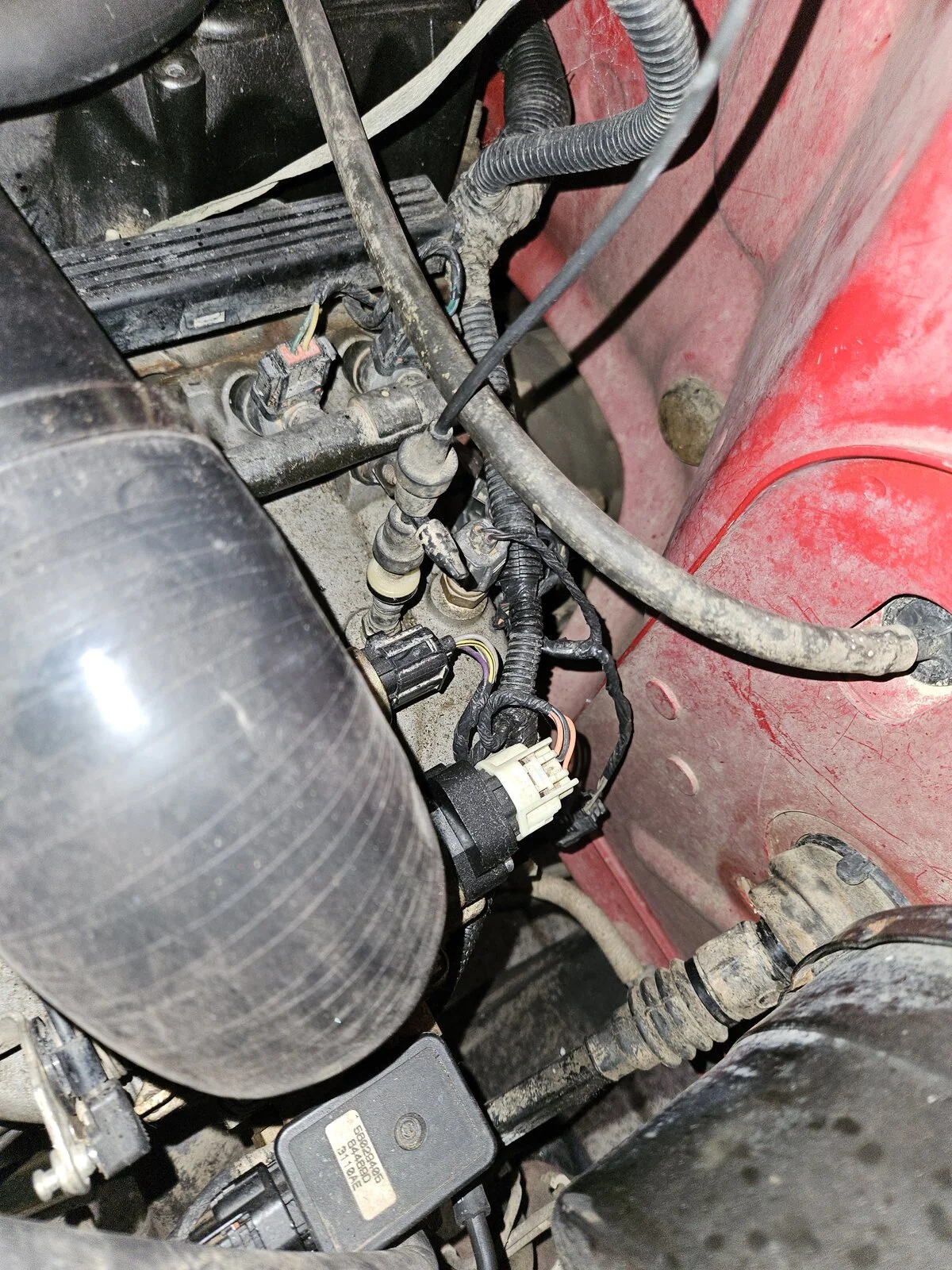 20230724_135425.webp