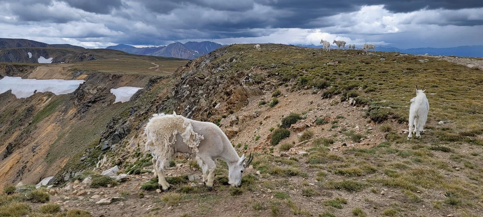 20230812_125805~2.webp
