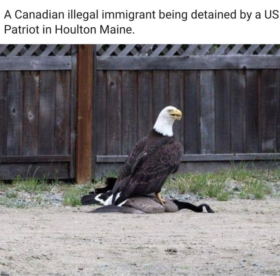 20230903_175618.webp
