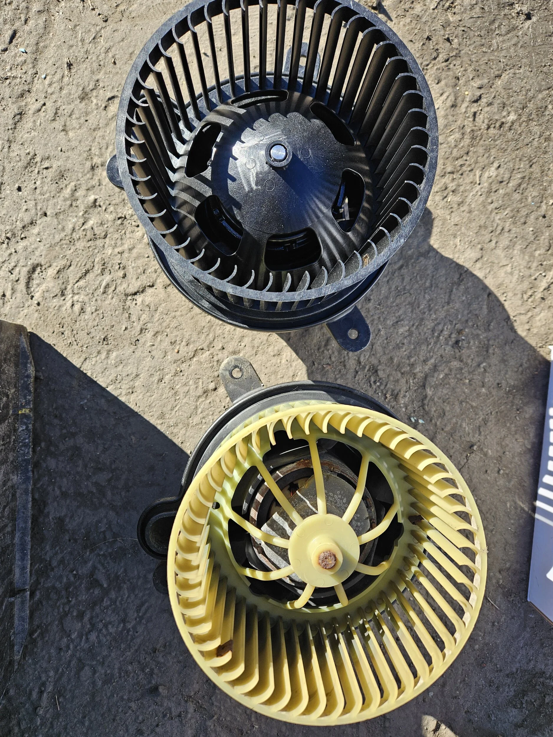 20231212_120010.jpg