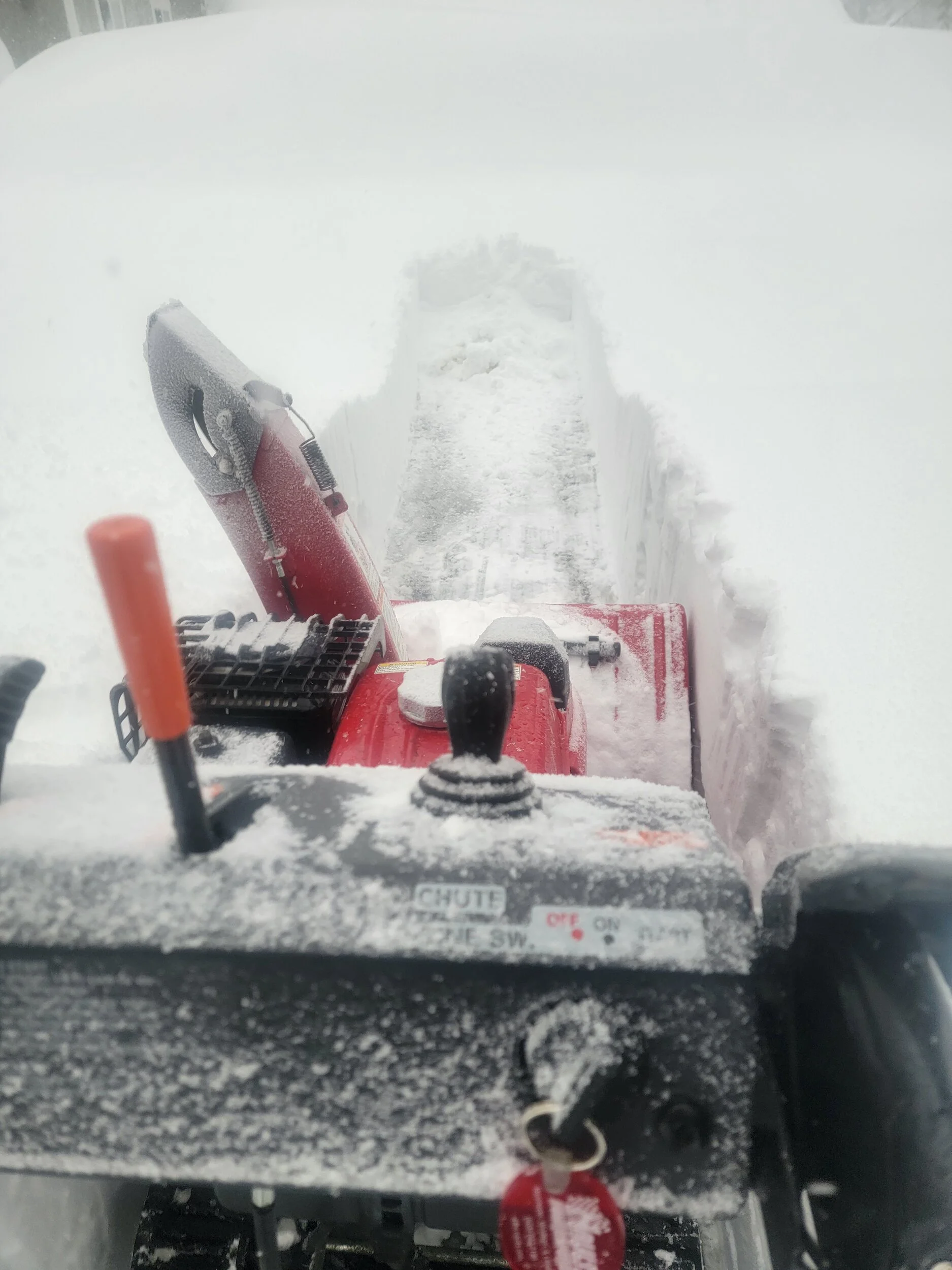 20240302_080330.webp