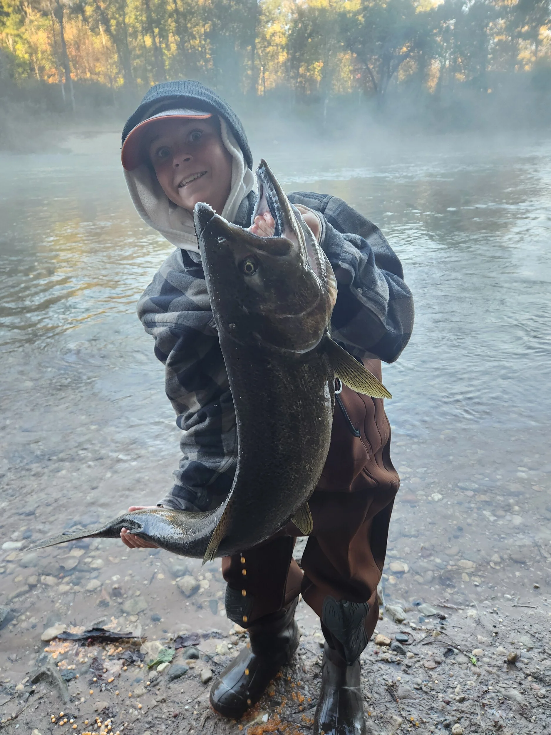 20241009_085744.webp