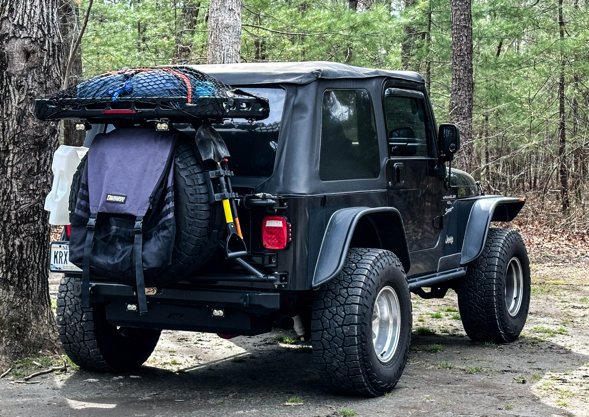 2025-04-19 Cathedral Pines ON 07.jpg