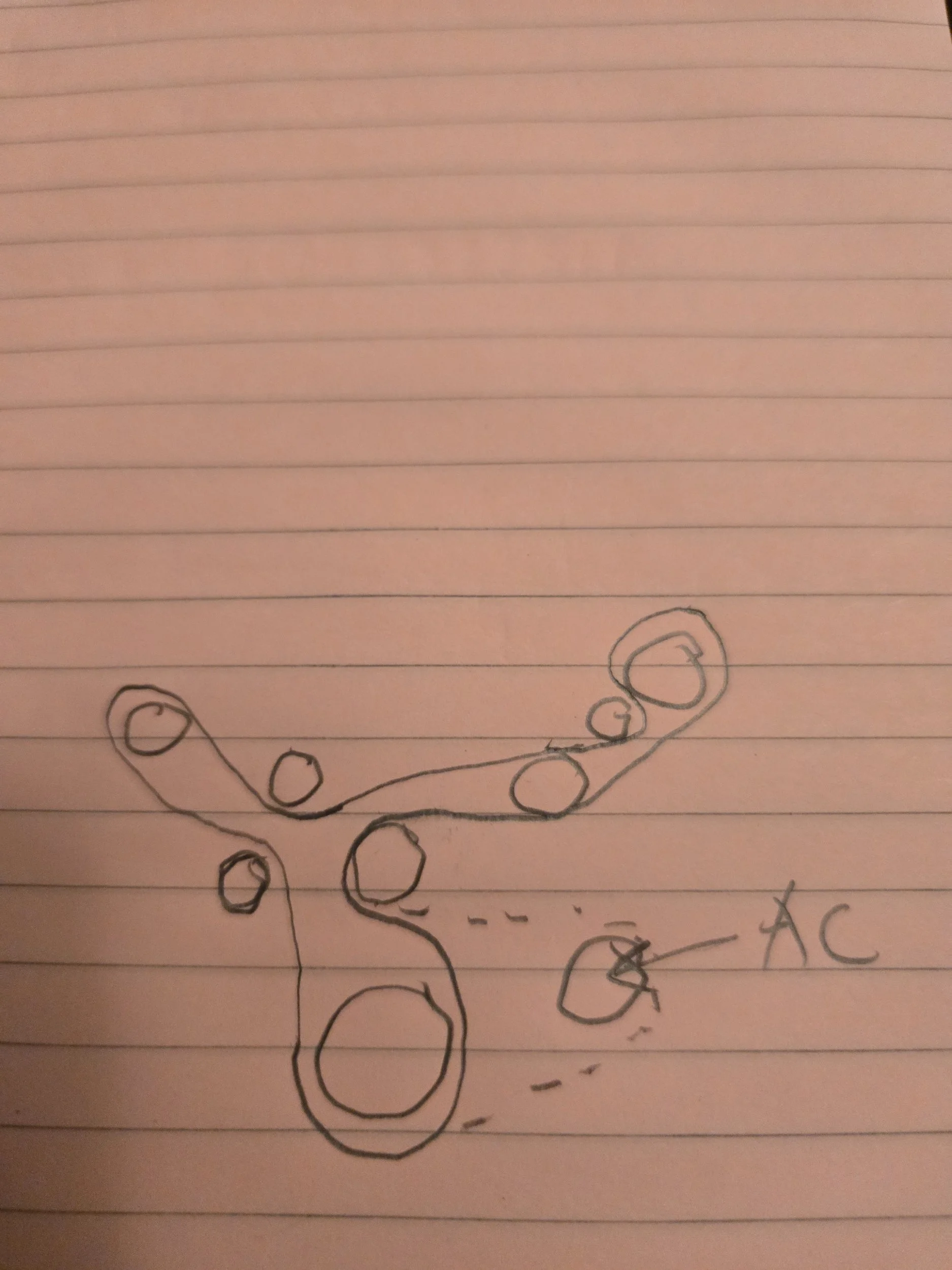 20250221_201302.webp