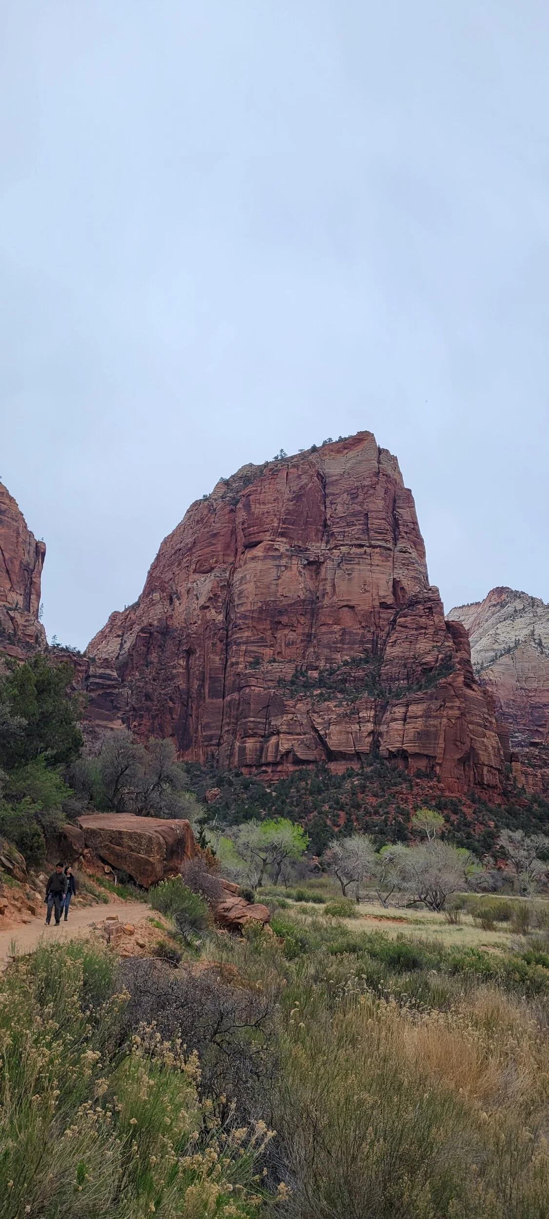 20250328_111347.jpg