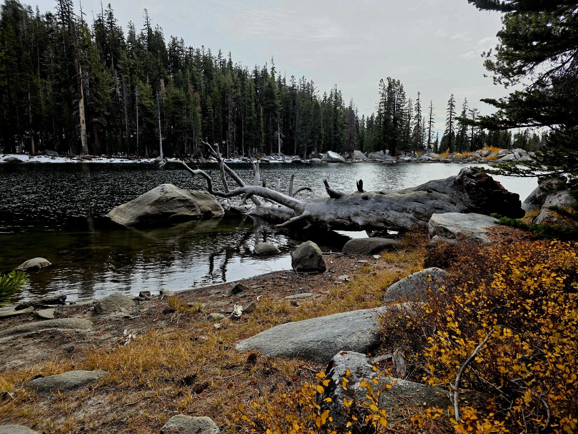 20251025_141402.webp