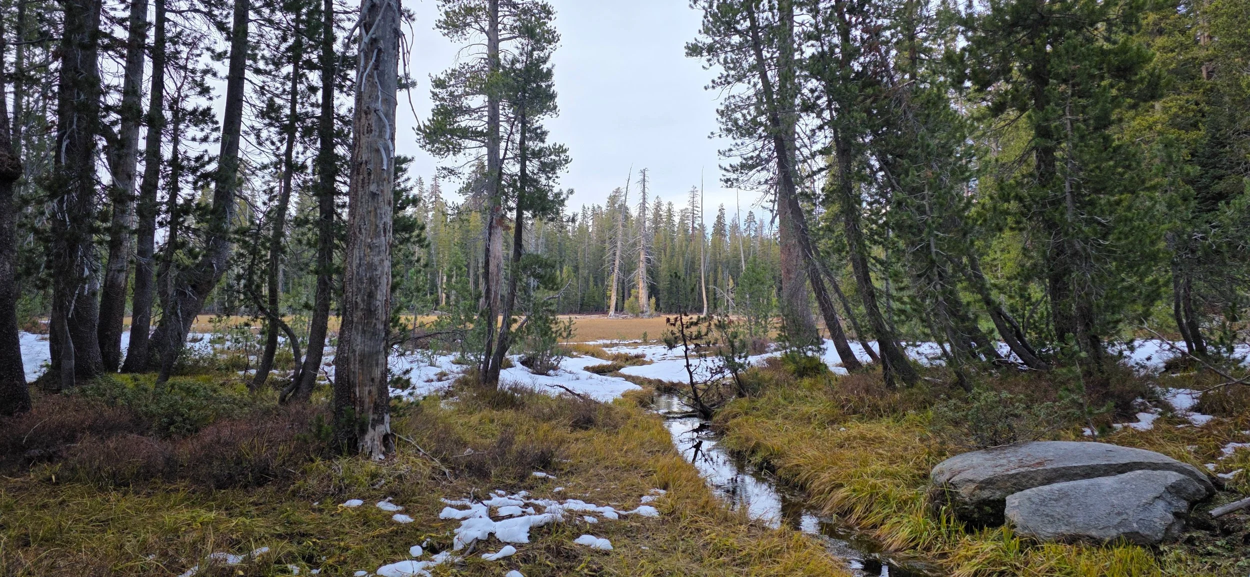 20251025_173543.jpg