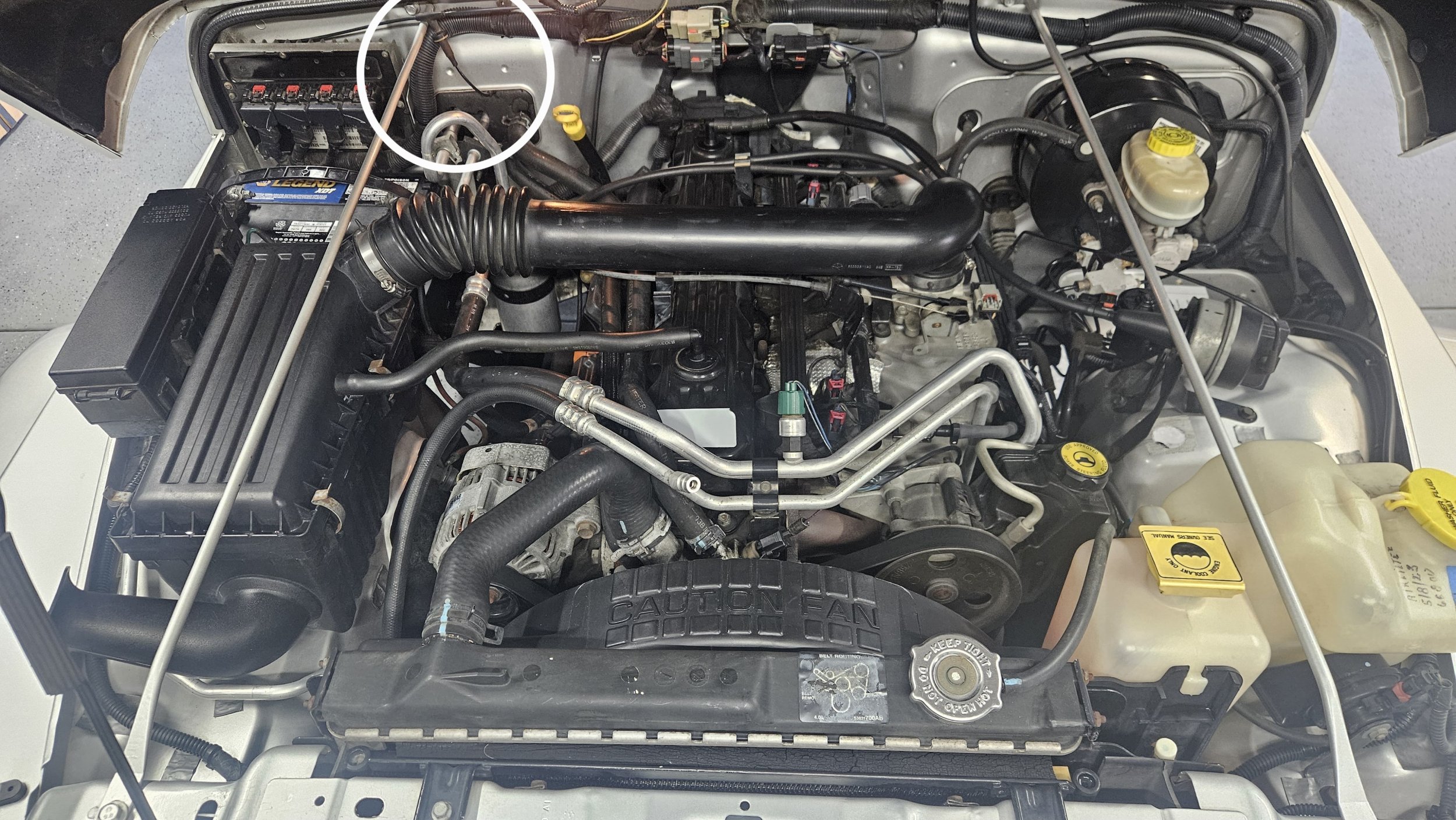 20251123_162147 (1).jpg