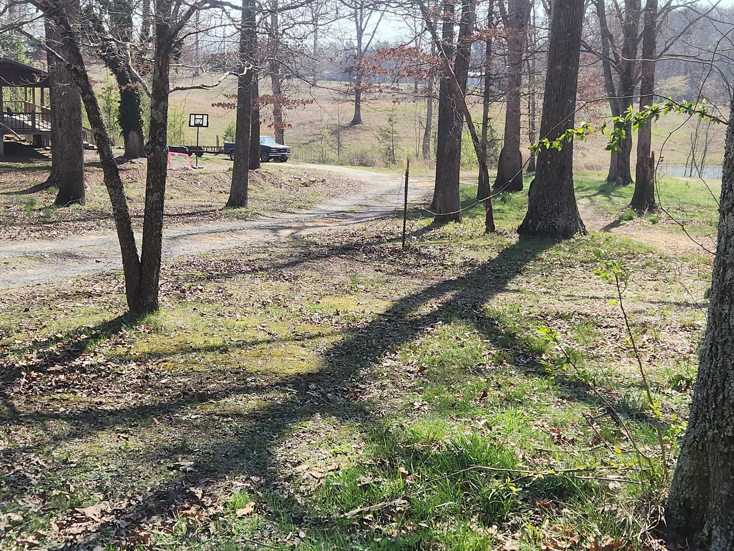 20260320_115115.webp