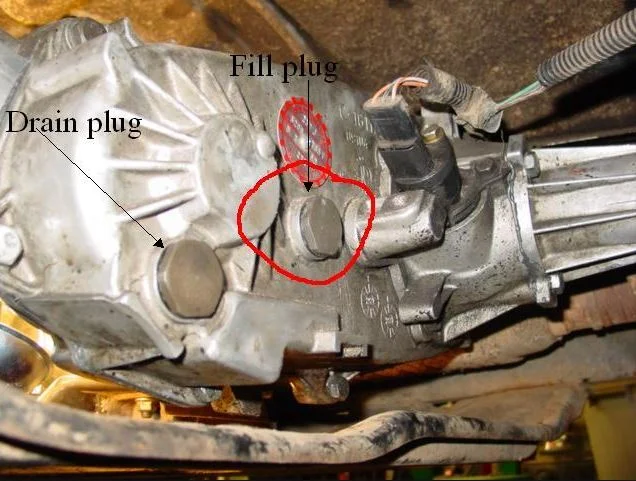 231 drain & fill plug locations.webp