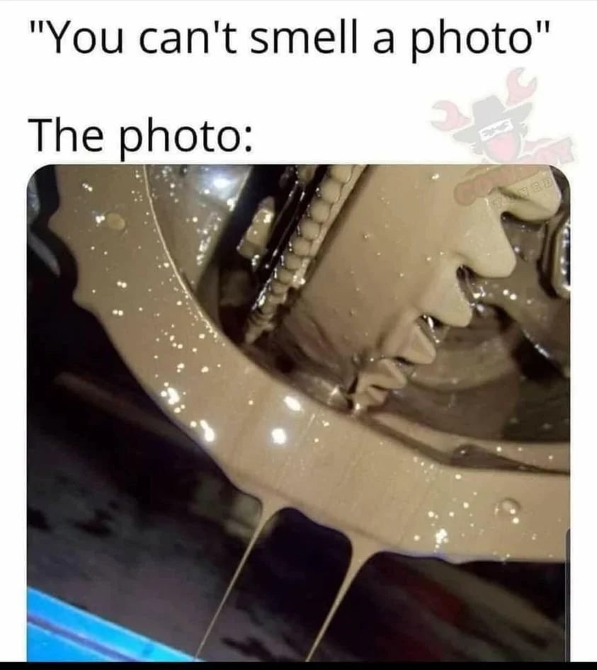 263756638_450220069809862_378736080803058427_n.webp