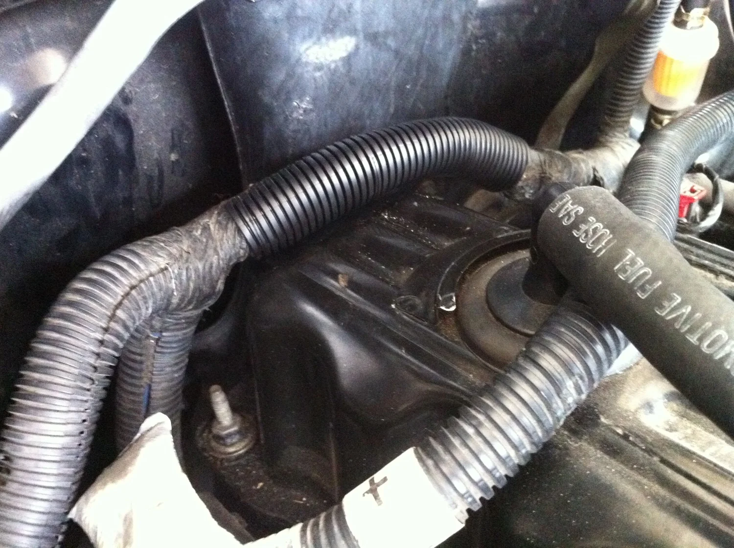 3.webp