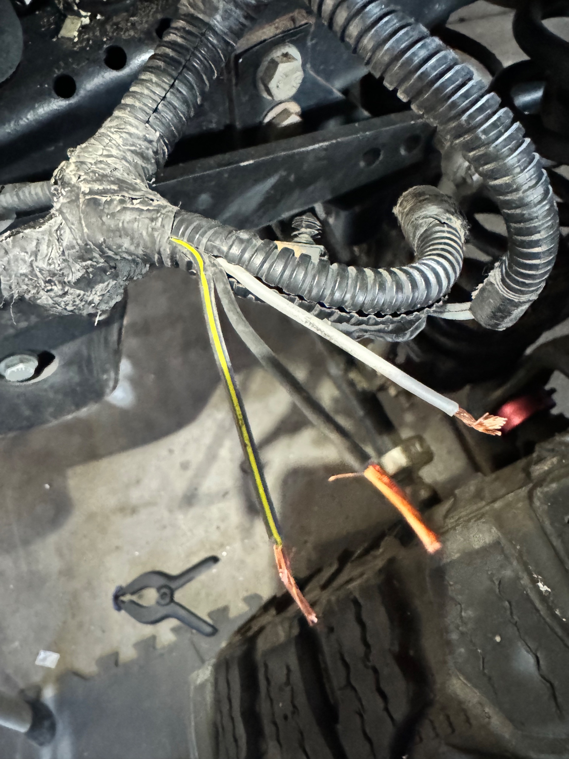 3 wires from wiring harness.jpg