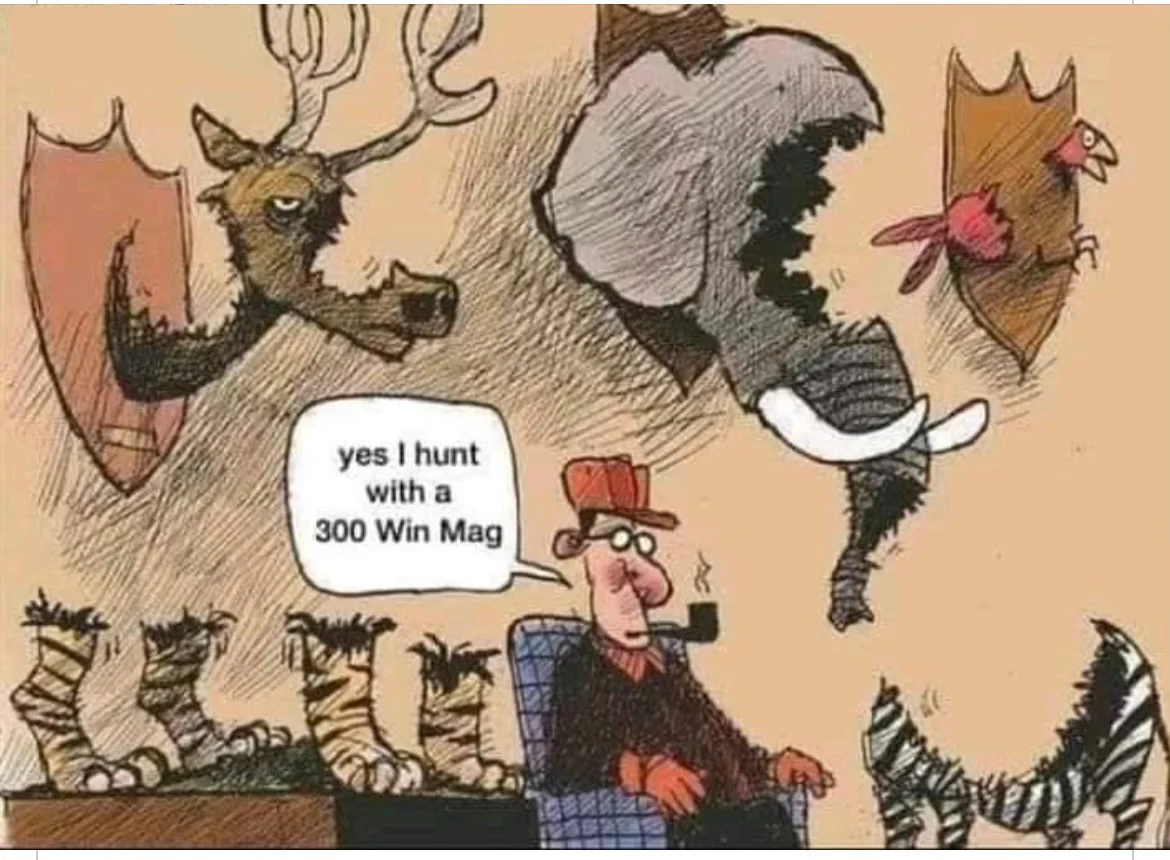 300 Win Mag.webp