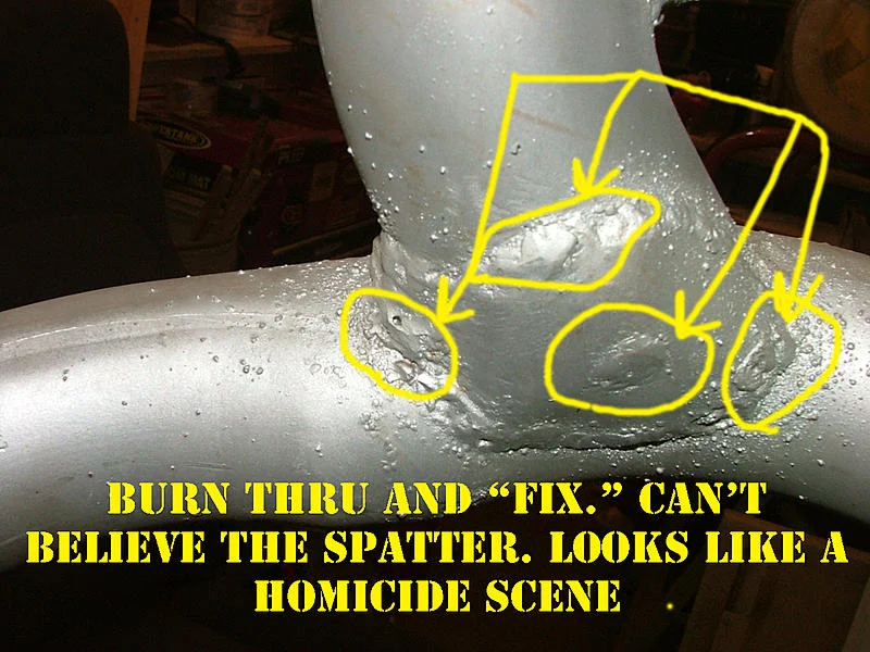321.webp