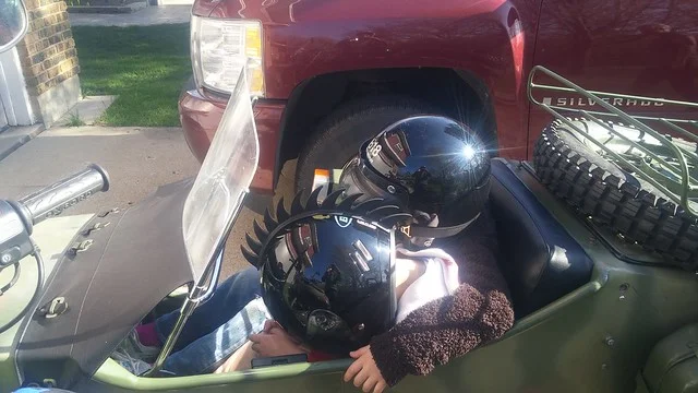 33319909313_069481a960_z.jpg