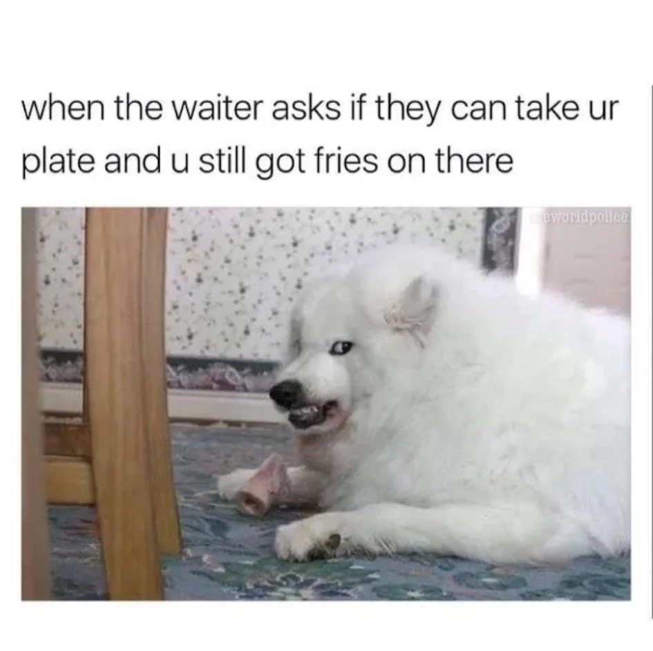448798428_10162417103583797_7937088861465308948_n.webp
