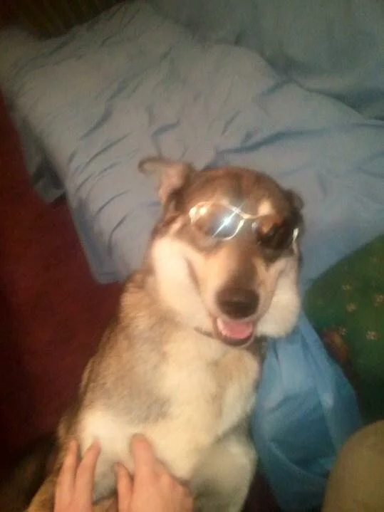 4A6B91D2-7CE4-4EF3-9755-62CA95A67364.webp