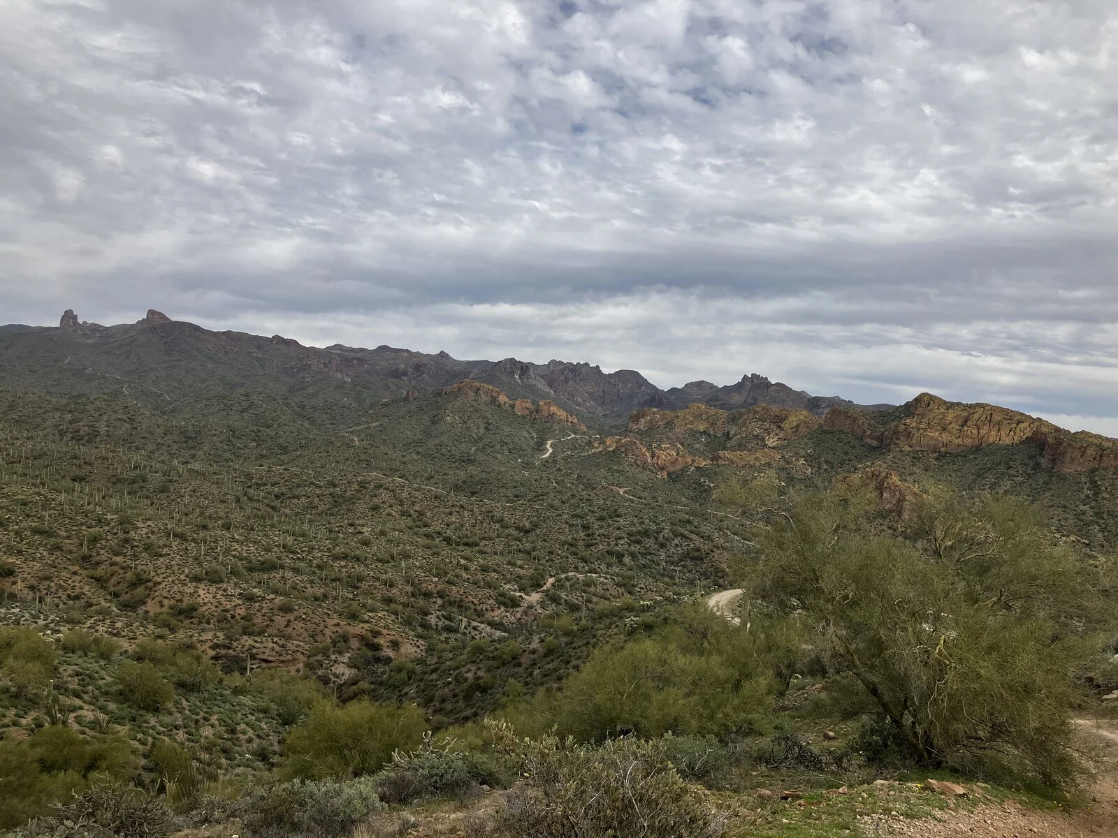 4E07C977-E239-4CDB-BCC0-FAA9AEC13186.webp