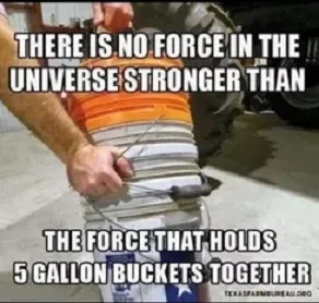 5 gallon buckets.webp