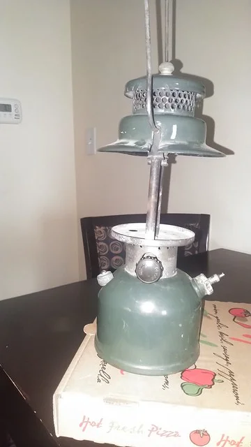 51423692736_d2c3c30c05_z.webp