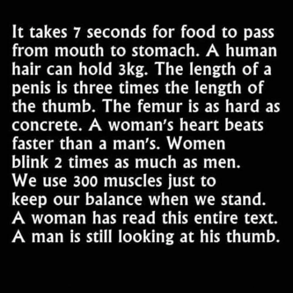 538212590_1141027981409757_3322896717633-3617592.webp