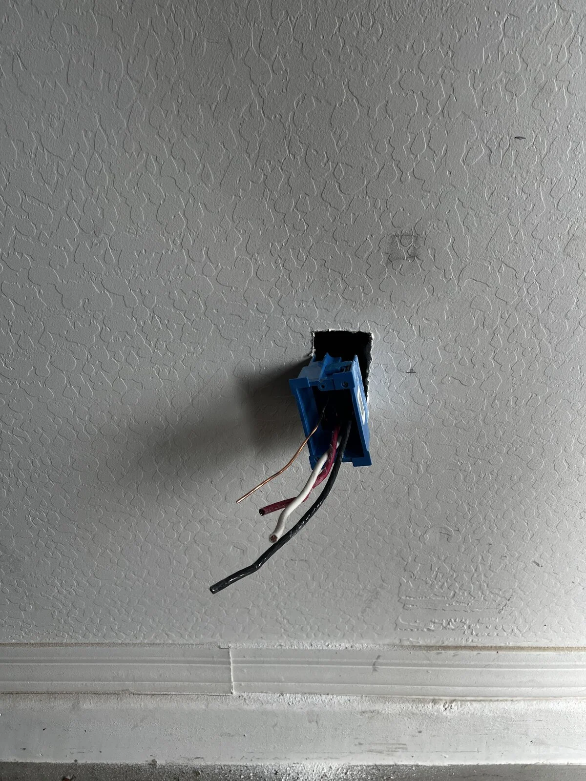 5393E1AD-0D71-4C92-B9E5-F7ECB5E0D07F.webp