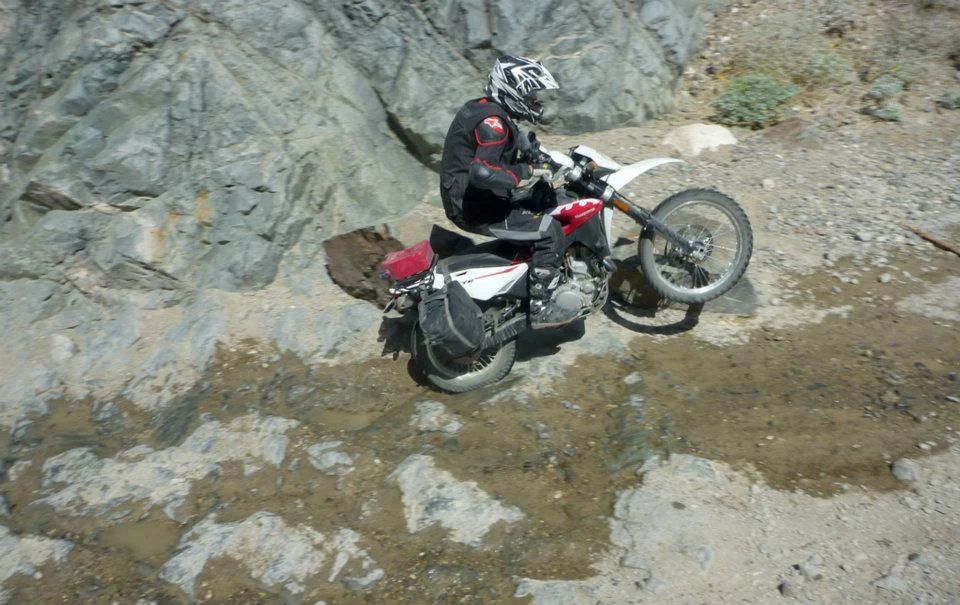 581975_426188447408429_761299186_n.jpg