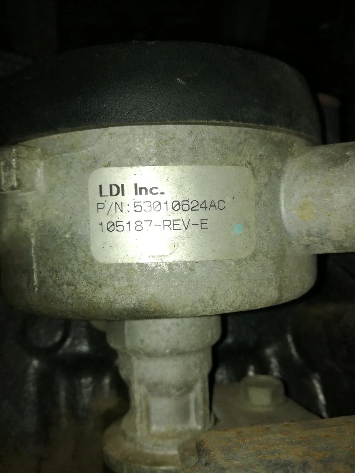 91446