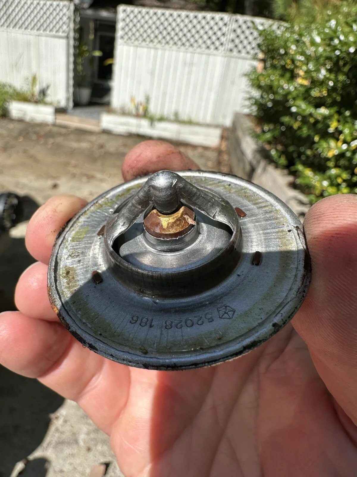 5E8CB921-C34B-4A23-9F68-9C1000FF2372.jpeg