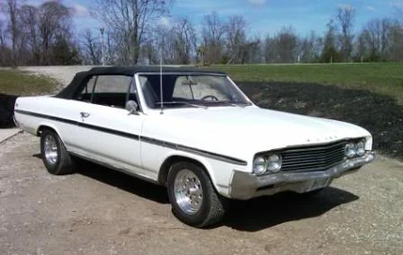 64Skylark6web.webp